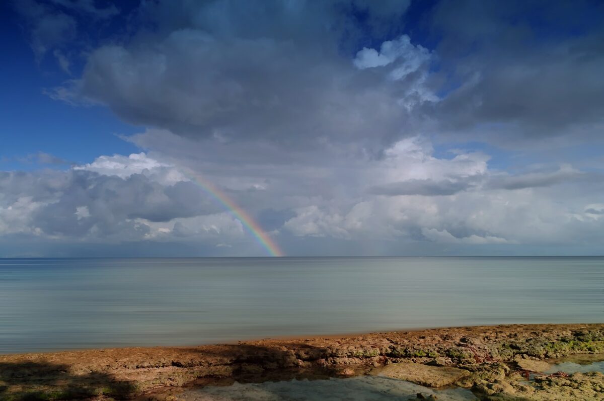 savourez nos irrésistibles gaufres arc-en-ciel, un délice coloré qui éveille les sens ! parfaites pour un petit-déjeuner ludique, un goûter ou toute occasion spéciale, ces gaufres moelleuses et vibrantes séduiront petits et grands. découvrez la magie des couleurs et des saveurs combinées dans chaque bouchée !